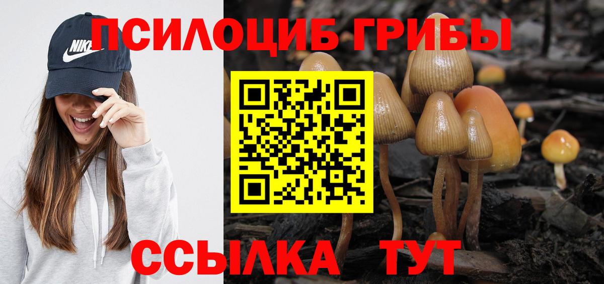 Шали  Псилоцибиновые грибы прущие грибы  Вход с VPN  где купить наркоту  Галлюциногенные грибы Psilocybine cubensis 