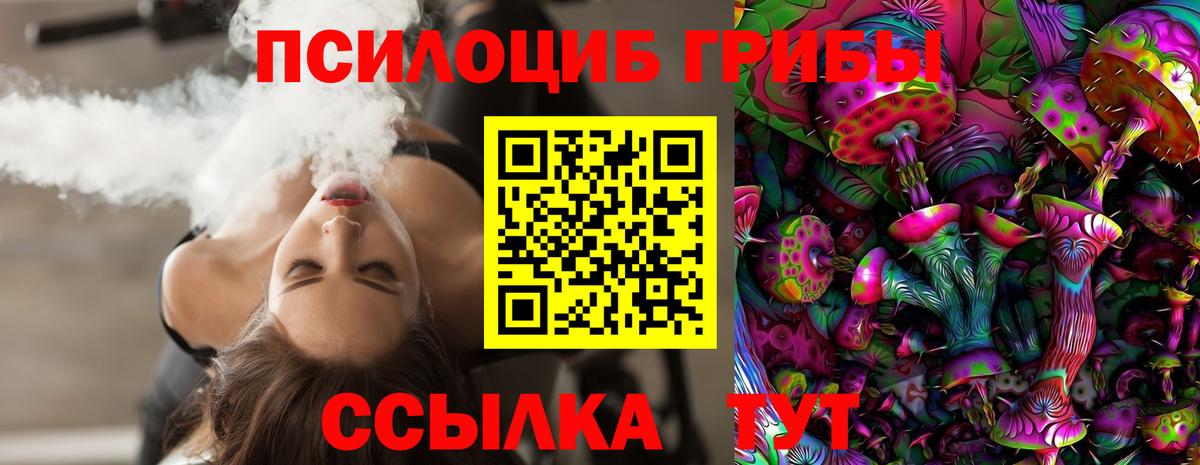 Псилоцибиновые грибы GOLDEN TEACHER Шали